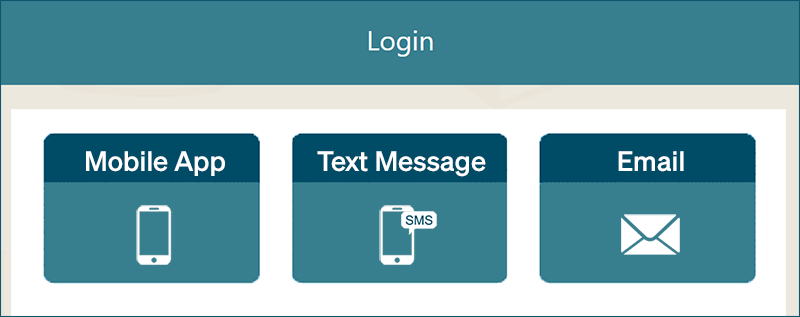 A screenshot of a login screen

Description automatically generated