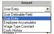 Wage Type Wizard Source page showing the dropdown list of source calculation options