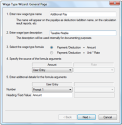 Wage Type Wizard page 1 showing Code, Description, and Type fields with the Next button